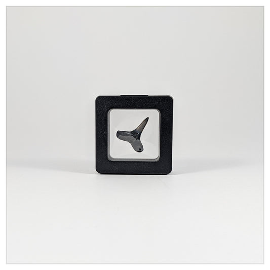 Black Square 2 inch