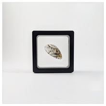 Square - 2.8 inch - Black - 3D Floating Frame 2-Sided Display Case - 70 mm