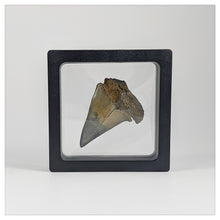 Square - 3.5 inch - Black - 3D Floating Frame 2-Sided Display Case - 90 mm