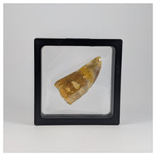 Square - 4.3 inch - Black - 3D Floating Frame 2-Sided Display Case - 110 mm