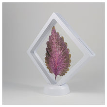 Square - 4.3 inch - White - 3D Floating Frame 2-Sided Display Case - 110 mm