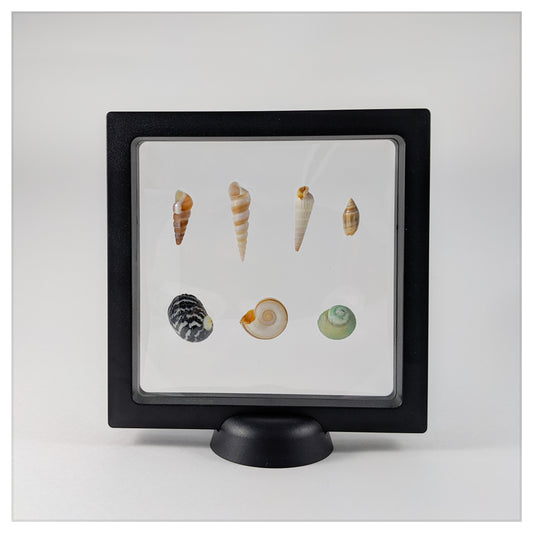 Round Multi-Function Base - Edge or Corner Stand - Black