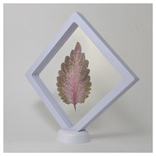 Square - 5.5 inch - White - 3D Floating Frame 2-Sided Display Case - 140 mm