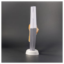 Square - 5.5 inch - White - 3D Floating Frame 2-Sided Display Case - 140 mm