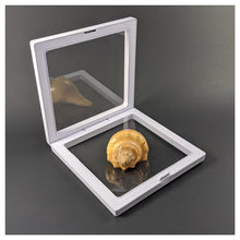 Square - 5.5 inch - White - 3D Floating Frame 2-Sided Display Case - 140 mm