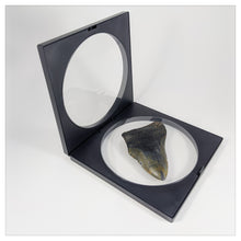 Square/Circle - 6.3 inch - 3D Floating Frame 2-Sided Display Case - Black