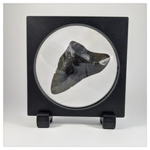 Square/Circle - 6.3 inch - 3D Floating Frame 2-Sided Display Case - Black