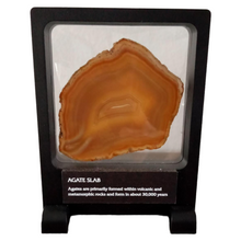 Label Area - 7.1" x 9.1" - 3D Floating Frame 2-Sided Display Case - Black