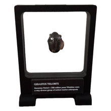 Label Area - 7.1" x 9.1" - 3D Floating Frame 2-Sided Display Case - Black