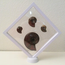 Square - 7.1 inch - White - 3D Floating Frame 2-Sided Display Case - 180 mm
