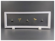 Rectangle - 11.8" x 4.3" - White - 3D Floating Frame 2-Sided Display Case - 300 mm x 110 mm
