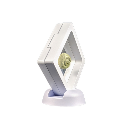 Square - 2.8 inch - White - 3D Floating Frame 2-Sided Display Case - 70 mm