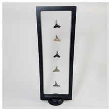 Rectangle - 4.3" x 11.8" - 3D Floating Frame 2-Sided Display Case - Black