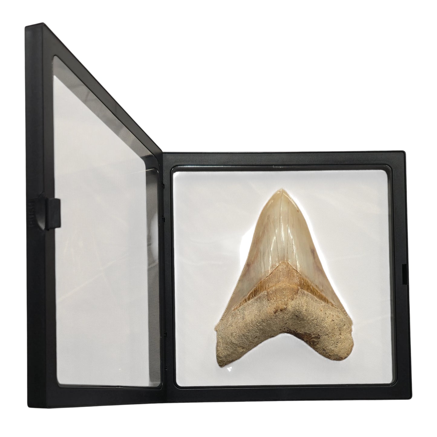 7.1 Inch Square Black (XL)