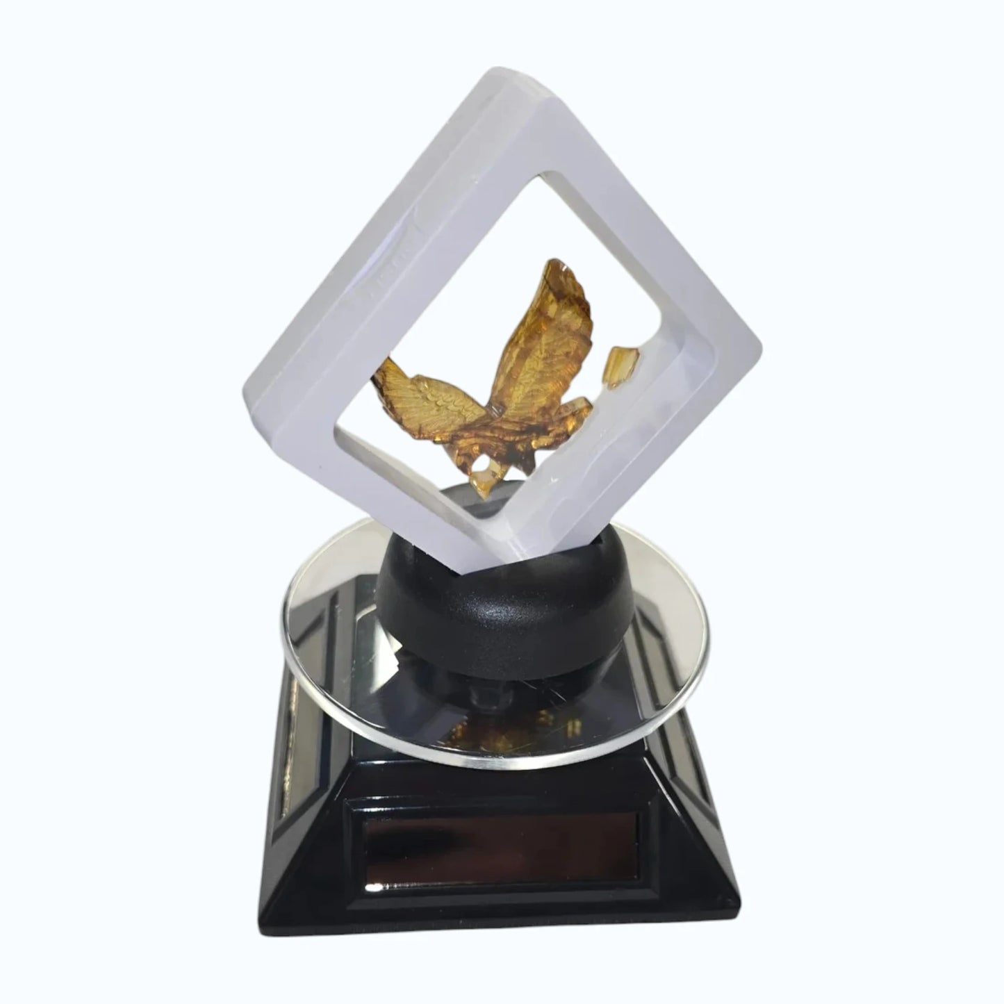 Rotating Stand Black
