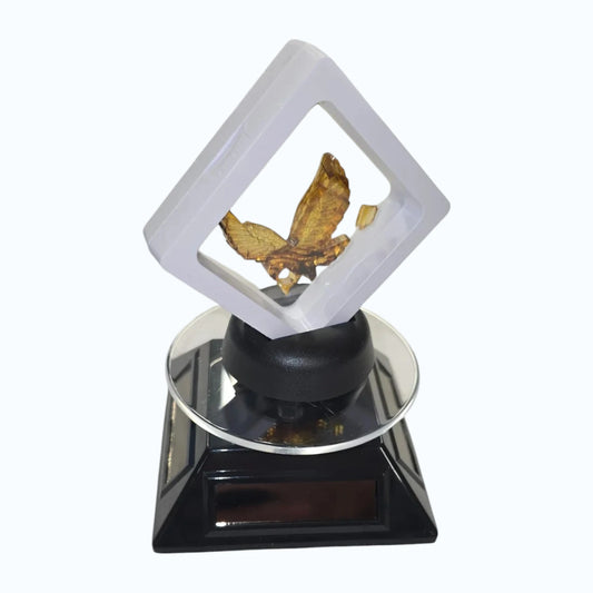 Rotating Stand Black