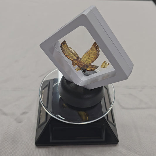 Black Rotating Stand (Solar or Battery Power)