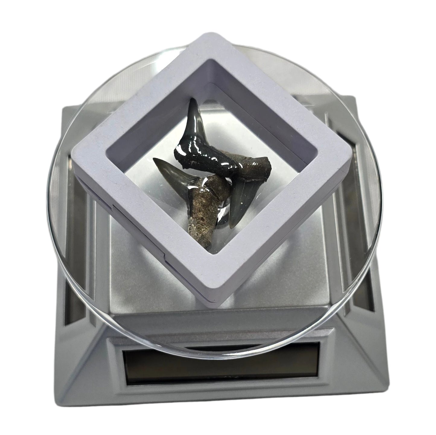 Rotating Stand Silver (Gray)