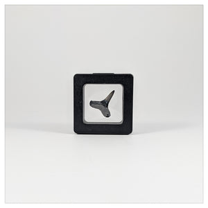 Square - 2 inch - Black - 3D Floating Frame 2-Sided Display Case - 50 mm