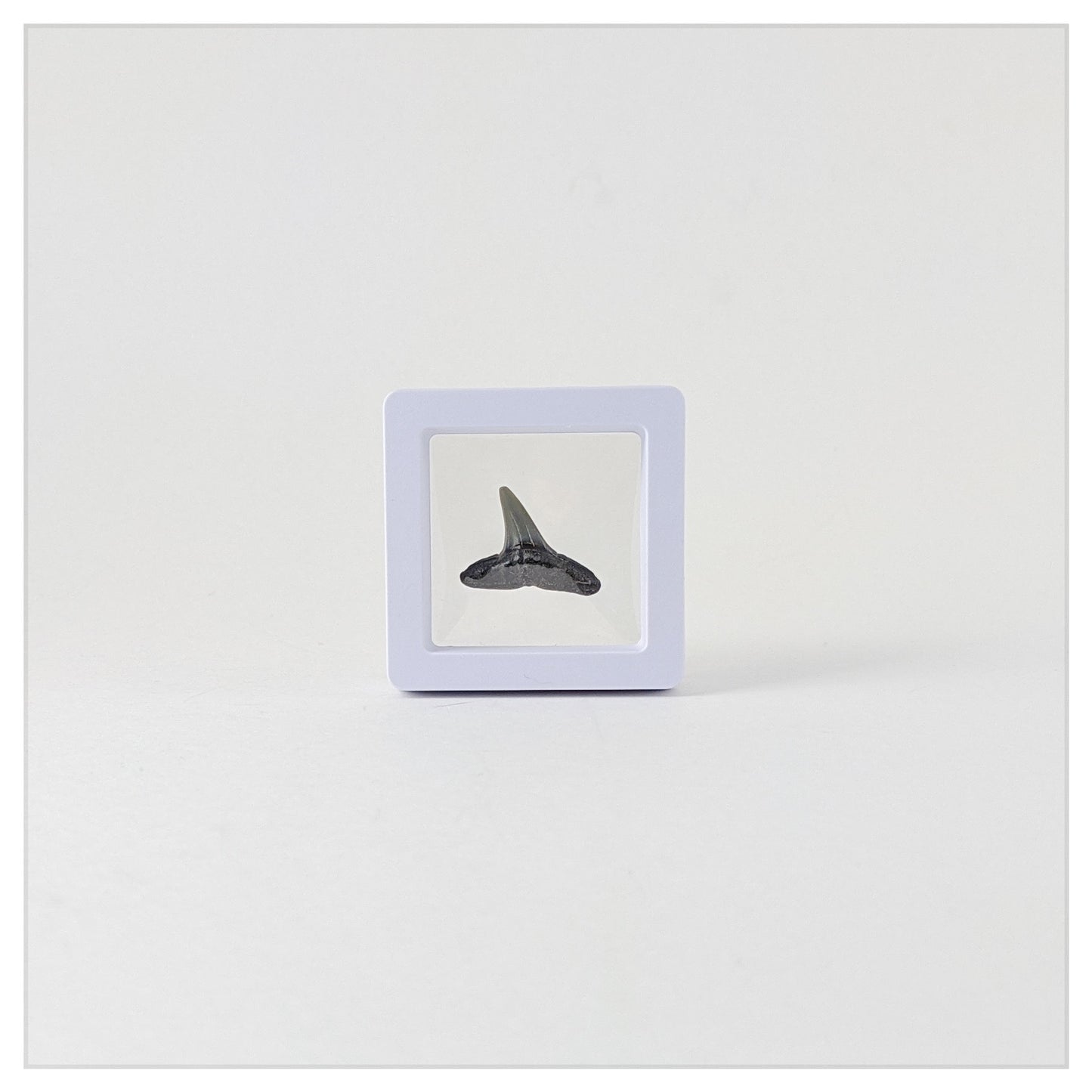 2 Inch Square White (XS)