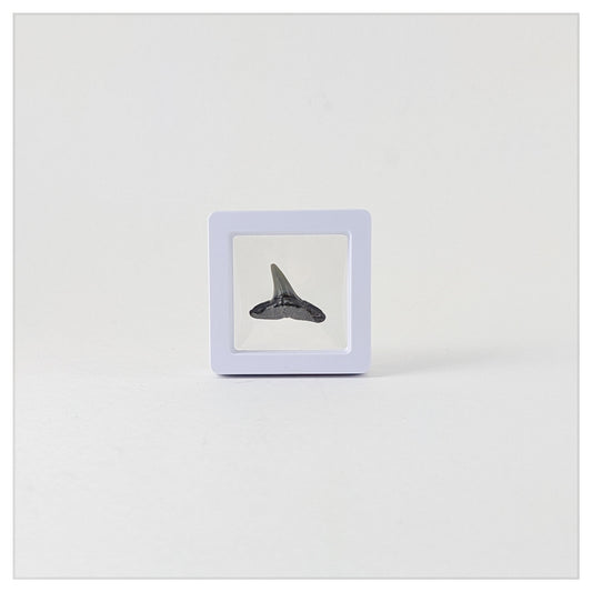 2 Inch Square White (XS)