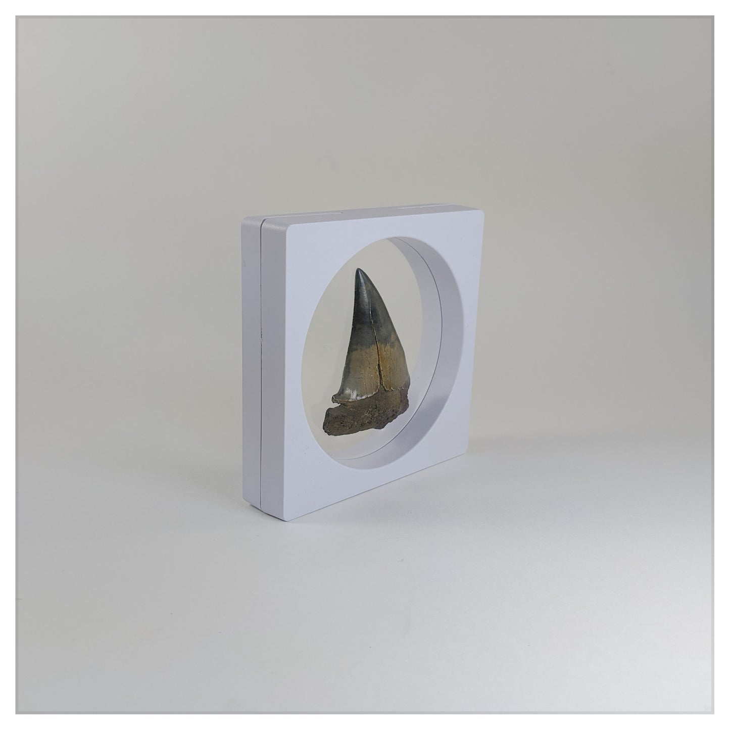 Square/Circle - 3.5 inch - 3D Floating Frame 2-Sided Display Case - White