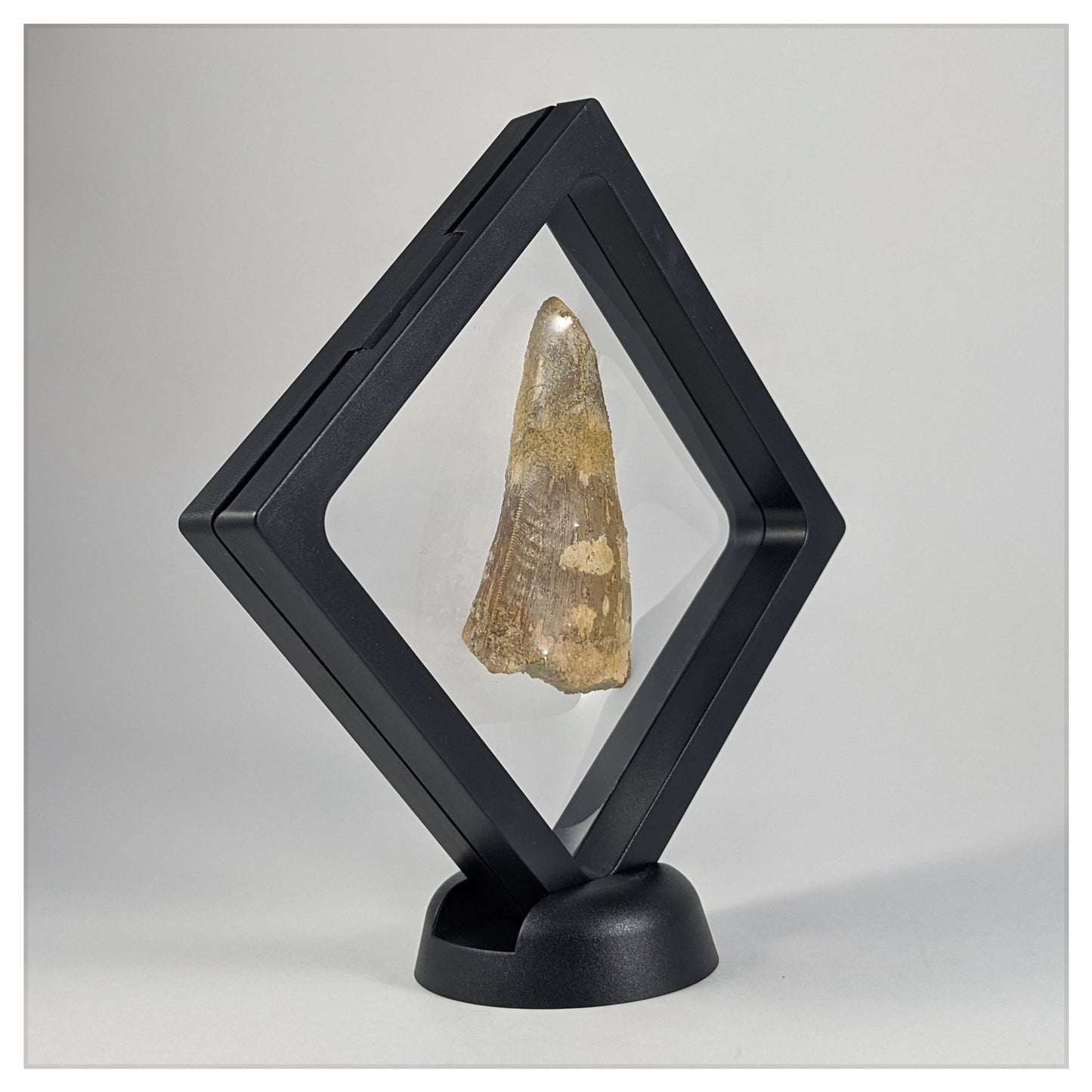 Round Multi-Function Base - Edge or Corner Stand - Black