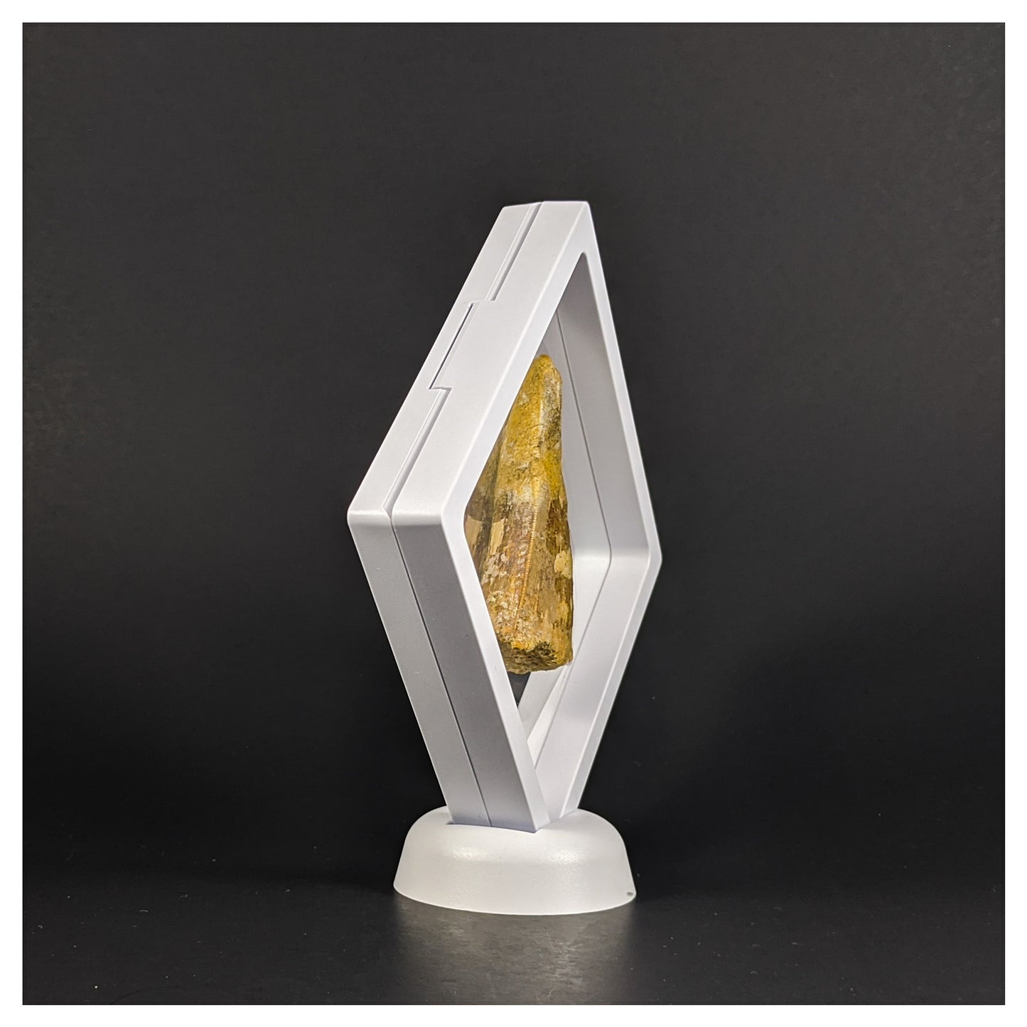 Round Base - Corner Stand - White