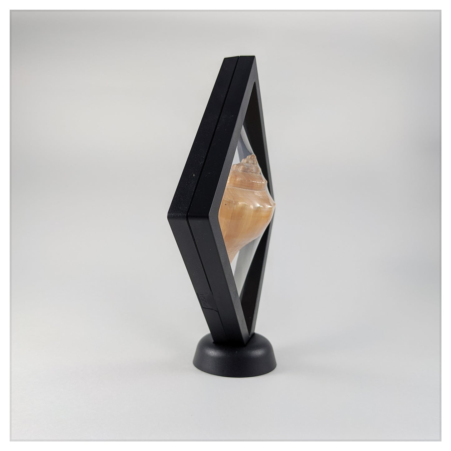 Black Square 5.5 inch