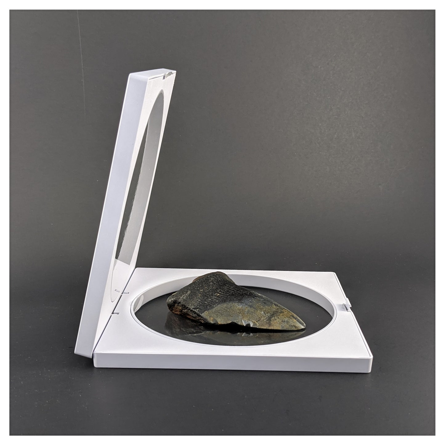 6.3 Inch Square/Circle White