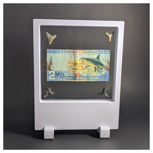 7.1" x 9.1" Tall  Label White