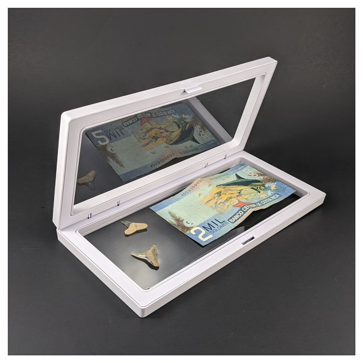9.1" x 4.3" Rectangle White