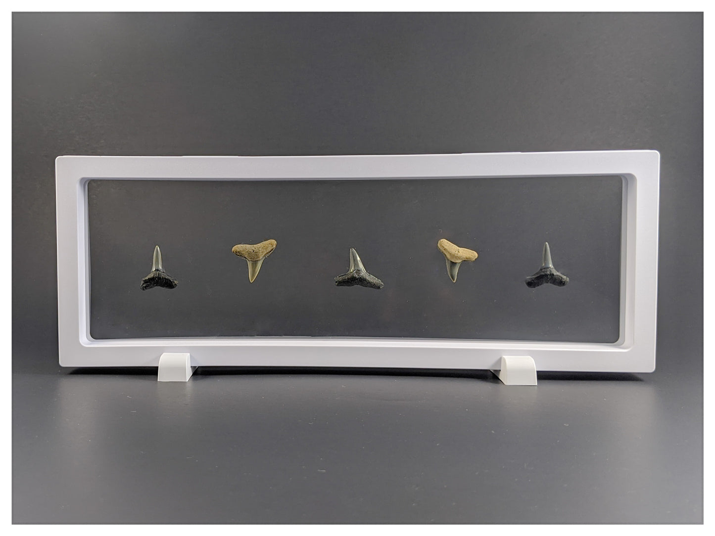 Flat Base Pair - Edge Stand - White