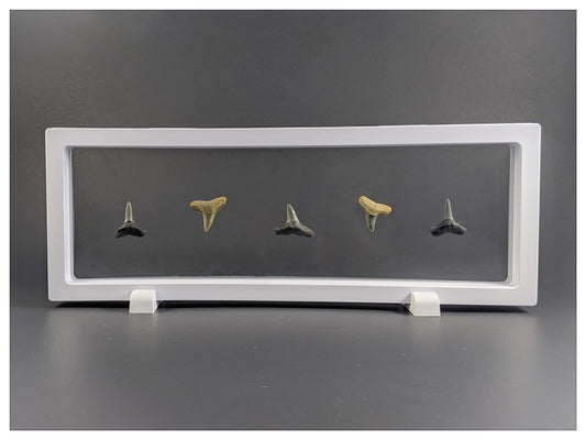 Flat Base Pair - Edge Stand - White