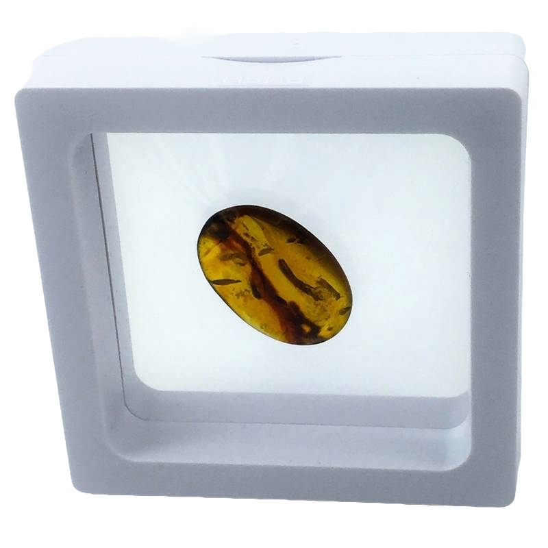 2.8 inch Square White (Small)