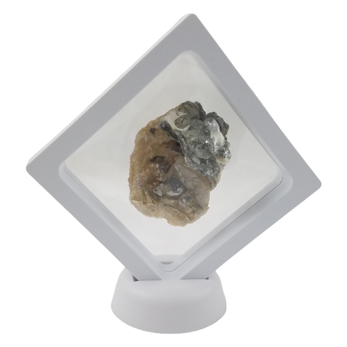 2.8 inch Square White (Small)