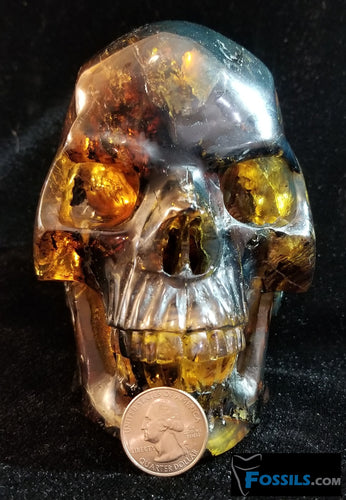 (Available) Skull Carving in Chiapas Amber (Mexico)