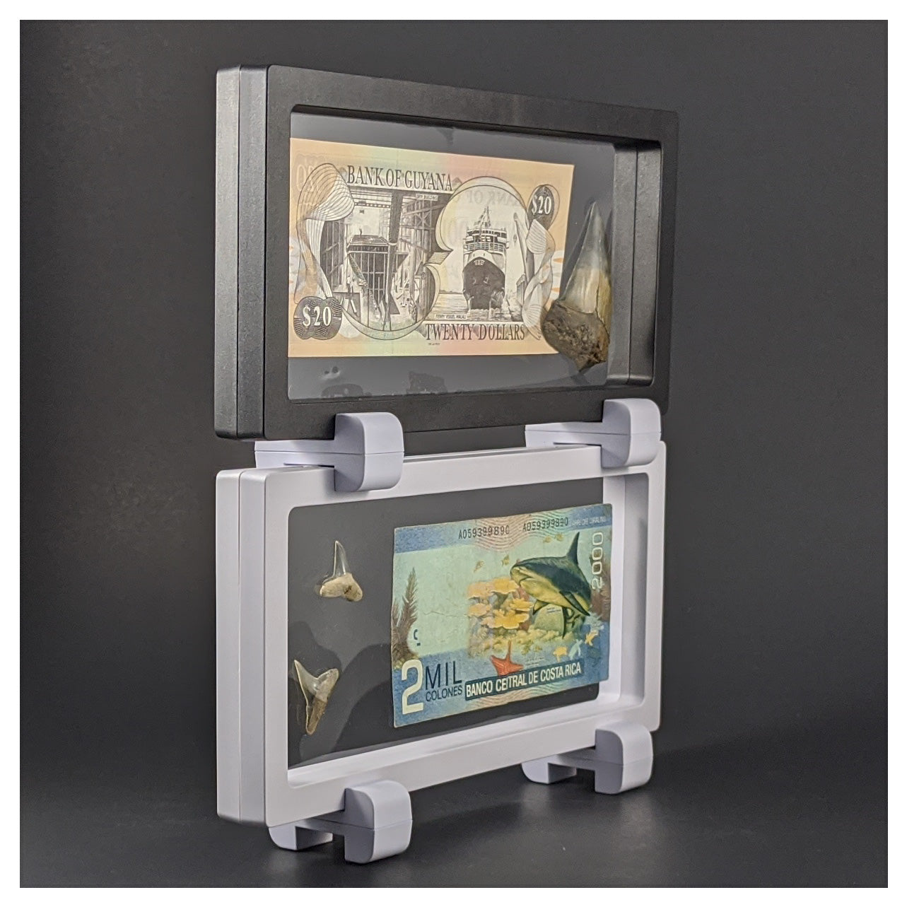 Stacking Base - Edge Stand, Stack or Connect - White